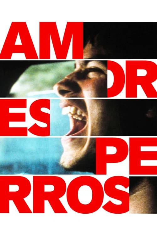 Portada de Amores Perros