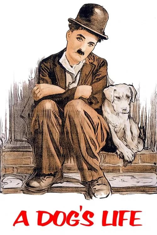 Portada de Vida de perro