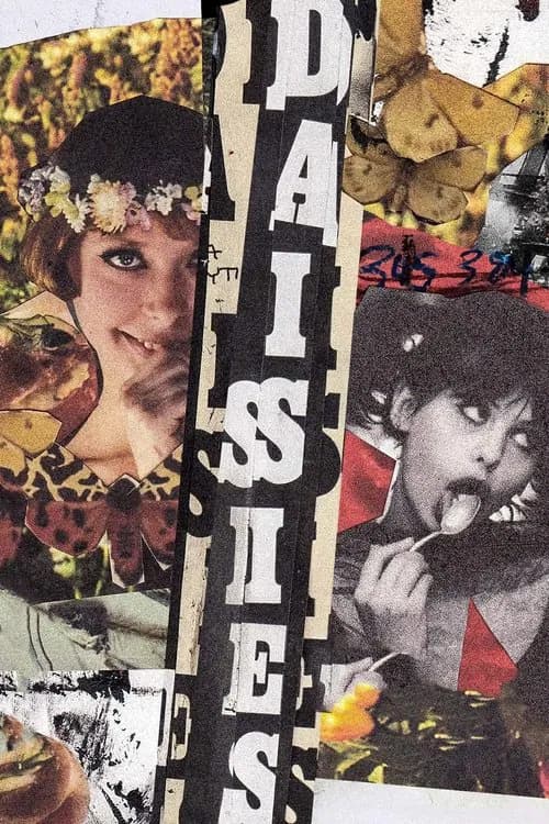 Cover of Daisies