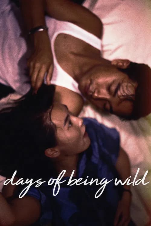 Cover of Days of Being Wild