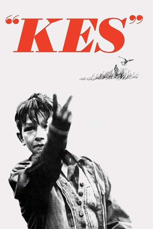 Cover of Kes
