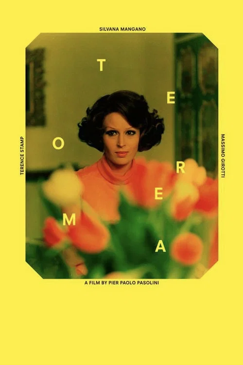 Cover of Theorem