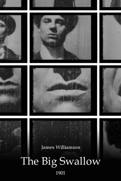 Cover of The Big Swallow
